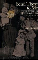 SEND THESE TO ME  IMMIGRANTS IN URBAN AMERICA  REVISED EDITION（1984 PDF版）