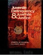 JUVENILE DELINQUENCY & JUVENILE JUSTICE（ PDF版）