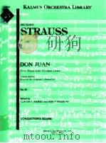Don Juan Tone Poem after Nicolaus Lenau Op. 20 PDF电子版封面