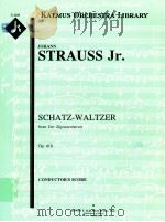 Schatz-Waltzer from Der Zigeunerbaron op.418 conductor's score A 2105 PDF电子版封面 Johann Strauss Jr.