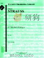 Furioso Polka Op.260 full score A 2090 PDF电子版封面