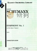 Symphony No.1 in B flat Major（ PDF版）