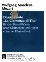 divertimento 1995 PDF电子版封面