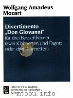 divertimento 1992 PDF电子版封面
