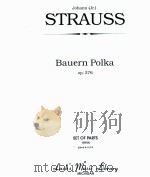 Bauern Polka Op.276 set of parts 08024 PDF电子版封面