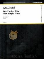 The Magic Flute for 2 Flutes Went FTR 155 1994 PDF电子版封面