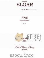 Elegy String Orchestra Op.58 set of parts 01473（ PDF版）