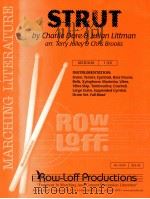 Strut Medium-1:39（1984 PDF版）