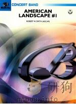 American Landscape #1（1974 PDF版）