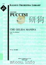 Che Gelida Manina from（ PDF版）