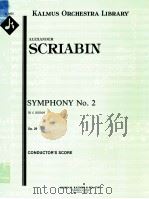 Symphony No.2 in c minor Op.29 conductor's score A 2425（ PDF版）