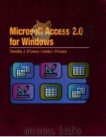 Microsoft access 2.0 for windows（1995 PDF版）