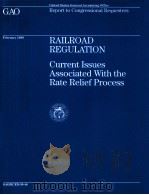 RAILROAD REGULATION  CURRENT ISSUES ASSOCIATED WITH THE RATE RELIEF PROCESS  FEBRUARY 1999   1999  PDF电子版封面     