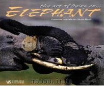 THE ART OF BEING ELEPHANTS PDF电子版封面 8880959352