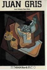 JUAN ANTONIO GAYA NUNO JUAN GRIS（1987 PDF版）