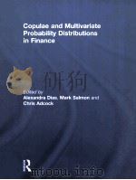 copulae and multivariate probability distributions in finance（ PDF版）