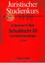 SCHULDRECHT 3 1984 PDF电子版封面 3406093795