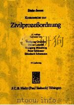 ZIVILPROZEBORDNUNG 17.LIEFERUNG PDF电子版封面