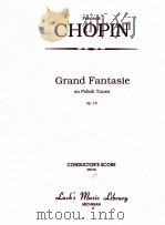 Grand Fantasie on Polish Tunes Op.13 PDF电子版封面