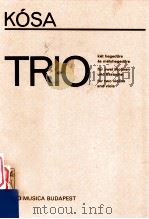 Trio ket hegedure es melyhegedure（ PDF版）