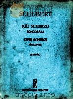 Cohata Sonata No.4 for piano 1911 PDF电子版封面 G.Firtich