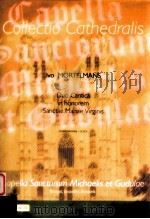 Duo Cantica in Honorem Sanctae Mariae Virgins D 2007 6045 066-cc014（ PDF版）