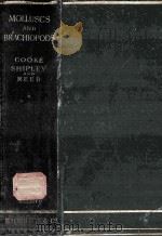 Molluscs and Brachiopods (recent and fossil)（1895 PDF版）