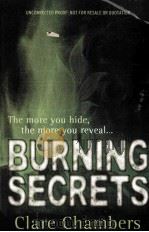BURNING SECRETS（ PDF版）