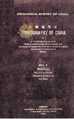 Stratigraphy of China Part Ⅱ Mesozoic（1928 PDF版）