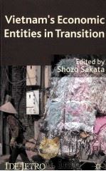 vietnam's economic entities in transition（ PDF版）