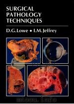 SURGICAL PATHOLOGY TECHNIQUES（1990 PDF版）
