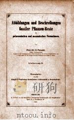 fossiler pflanzen-reste vol.2 1904 PDF电子版封面