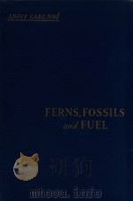 ferns fossils & fuel 1931 PDF电子版封面 noe A.C.