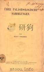 uber palaozoologische sammlungen 1919 PDF电子版封面 stromer E.