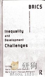 inequality and development challenges（ PDF版）