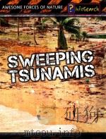 sweeping tsunamisrevised and updated（ PDF版）