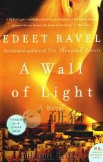 A WALL OF LIGHT（ PDF版）