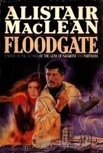 FLOODGATE A NOVEL BY THE AUTHOR OF THE GUNS OF NAVARONE AND PARTISANS（1984 PDF版）