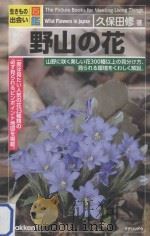 野山の花（ PDF版）