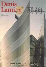 DENIS LAMING INVISIBLE TENSIONS（1999 PDF版）