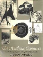 美学经验-人类学家对视觉艺术的看法=THE AESTHETIC EXPERIENCE AN ANTHROPOLOGIST LOOKS AT THE VISUAL ART 1919 PDF电子版封面 JACQUES MAQUET