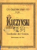 DIE GESCHENKE DER GENIEN（ PDF版）