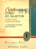 苏联作曲家舞剧中的小提琴独奏(外文) PDF电子版封面