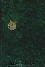 DER FLIEGENDE（1909 PDF版）