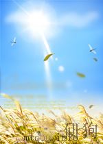 低音提琴和钢琴的变奏曲和回旋曲(外文)（ PDF版）