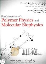 fundamentals of polymer physics and molecular biophysics（ PDF版）