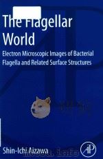 the flagellar world electron microscopic images of bacterial flagella and related surface structures（ PDF版）