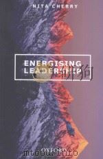 energising leadership（ PDF版）