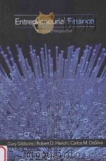 entrepreneurial financea global perspective（ PDF版）
