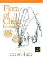 Flora of China 23 PDF电子版封面 1994